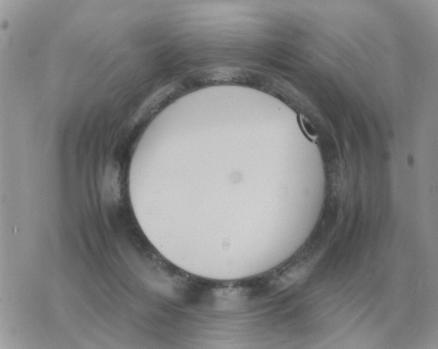 X0000070430216200606302134