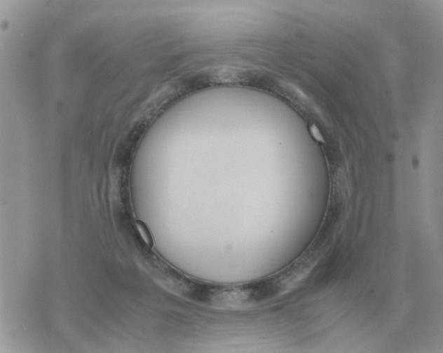 X0000070430217200606302134