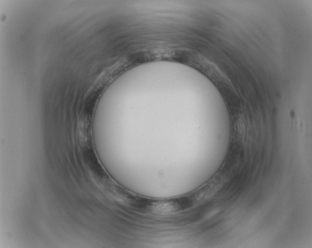 X0000070430218200606302134