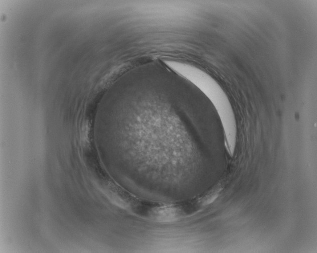 X0000070430219200606302134