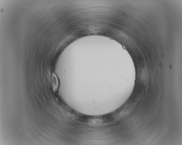 X0000070430220200606302134