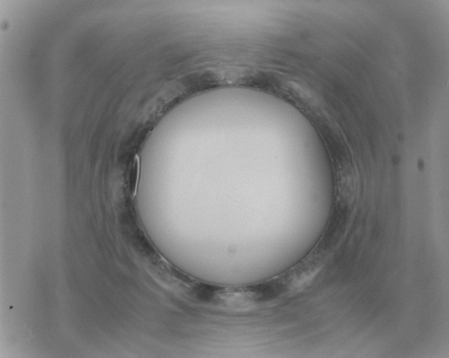 X0000070430221200606302134