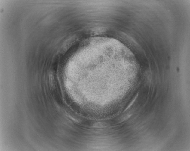 X0000070430222200606302134