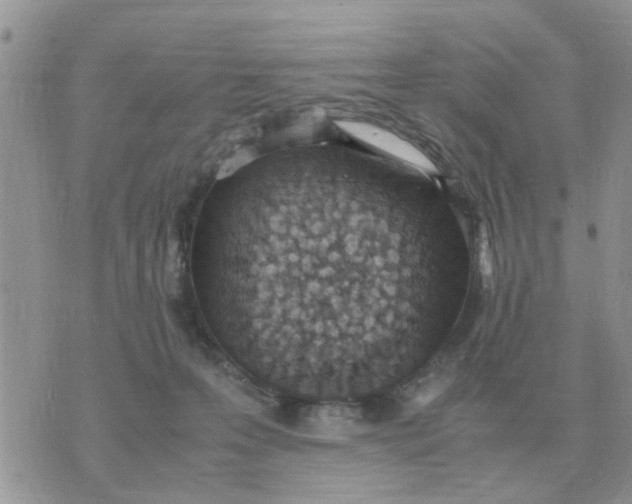 X0000070430223200606302134