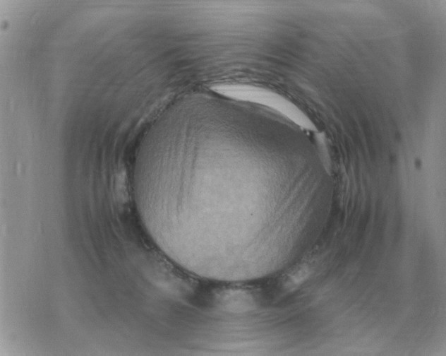 X0000070430224200606302134