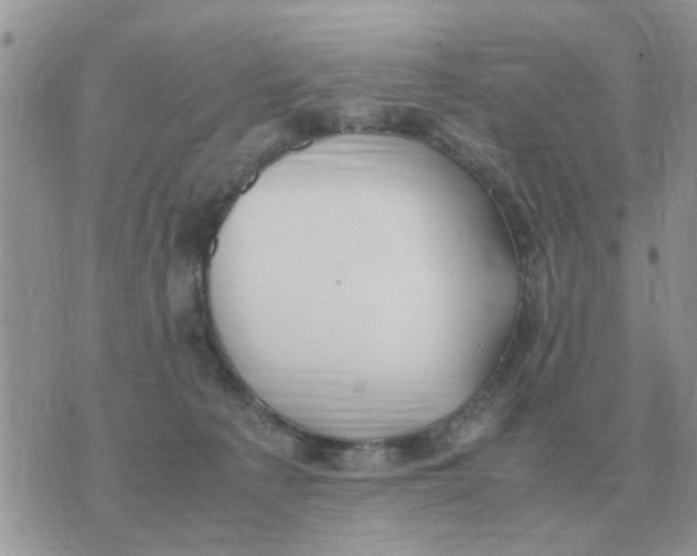 X0000070430225200606302134