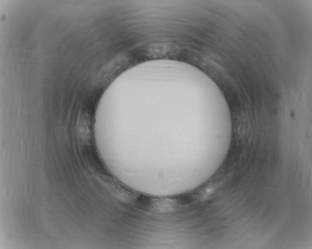 X0000070430226200606302134