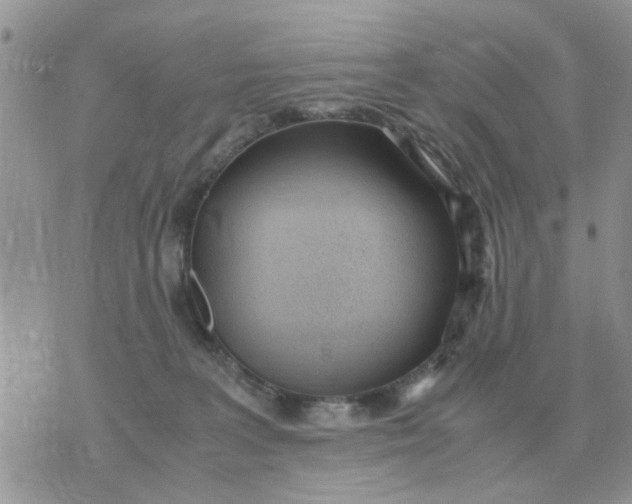 X0000070430227200606302134