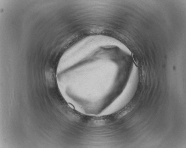 X0000070430228200606302134