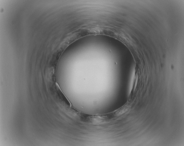 X0000070430229200606302134