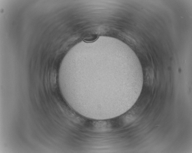 X0000070430230200606302134