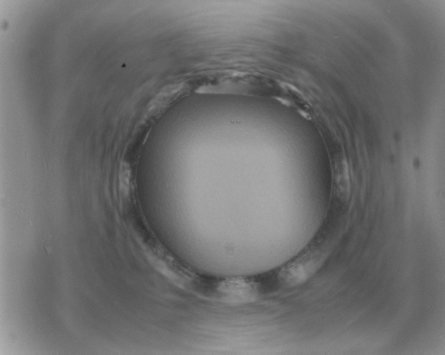 X0000070430231200606302134