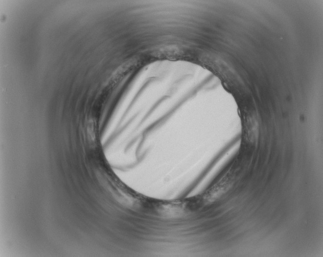 X0000070430232200606302134