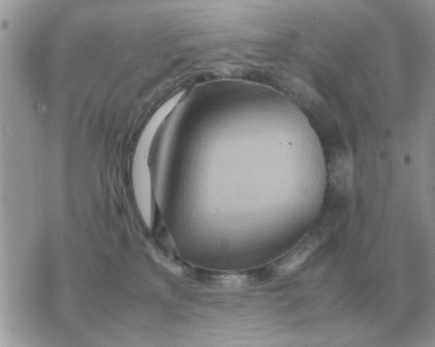 X0000070430233200606302134