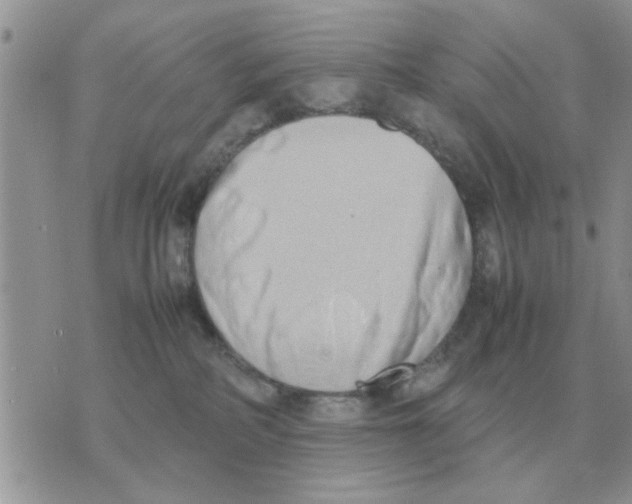 X0000070430234200606302134