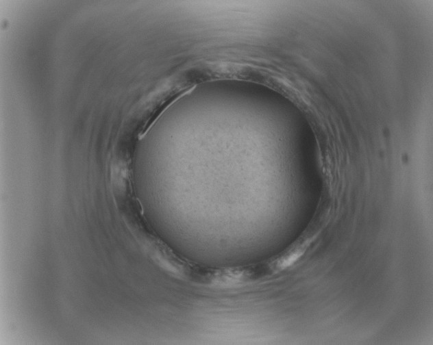 X0000070430235200606302134