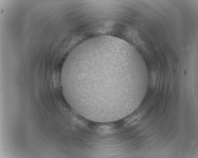 X0000070430236200606302134