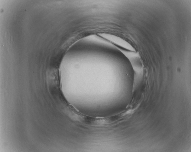 X0000070430237200606302134