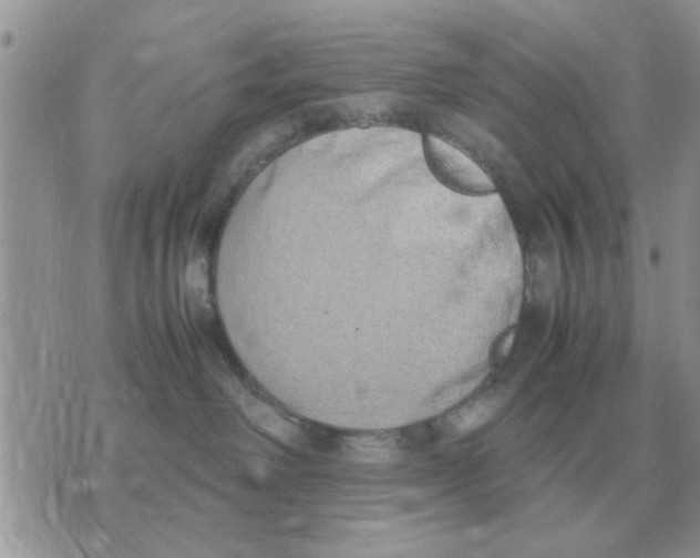 X0000070430238200606302134