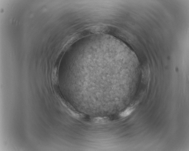 X0000070430239200606302134