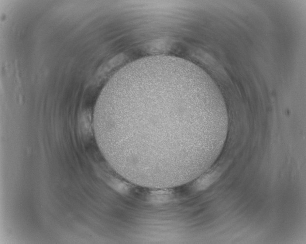 X0000070430240200606302134