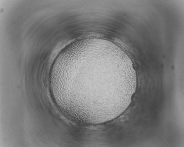 X0000070430241200606302133