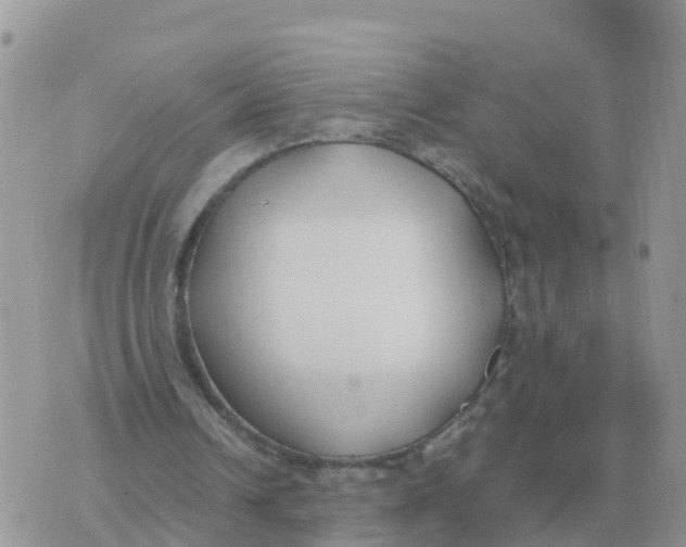 X0000070430242200606302133