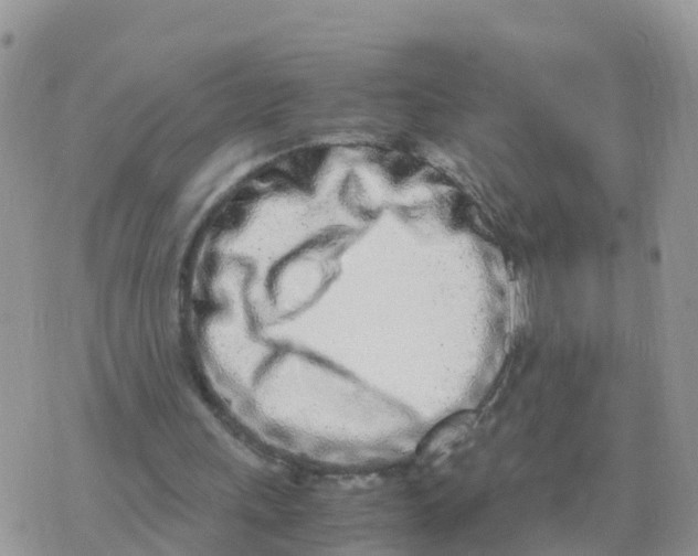 X0000070430243200606302133