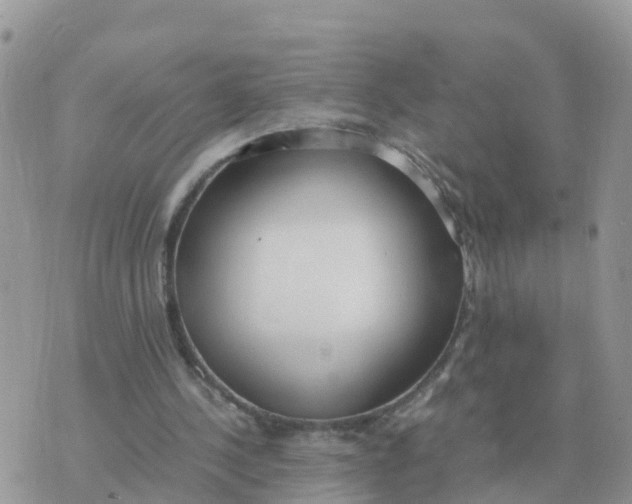 X0000070430244200606302133