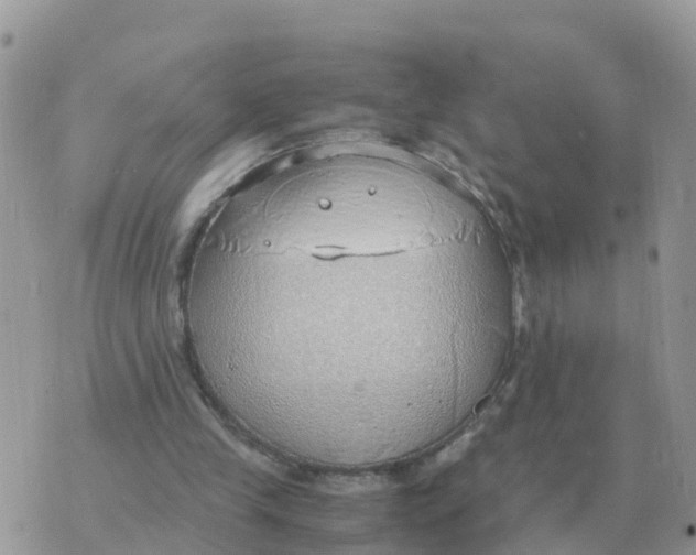 X0000070430245200606302133