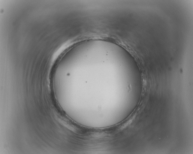 X0000070430246200606302133