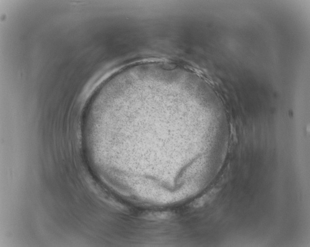 X0000070430247200606302133