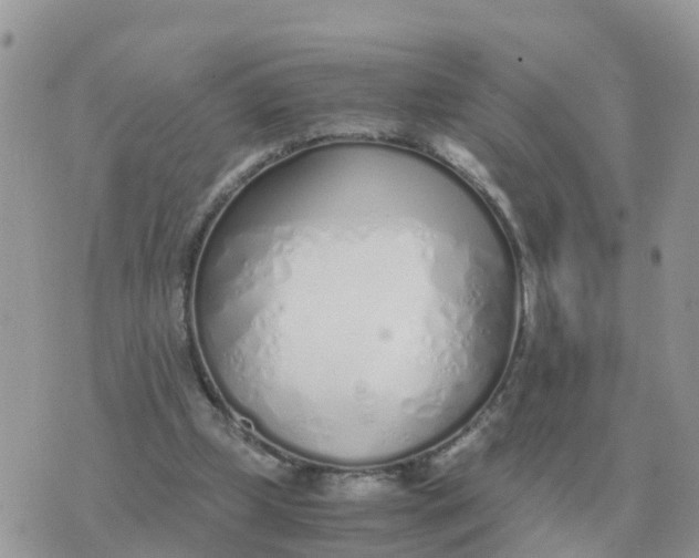 X0000070430249200606302133