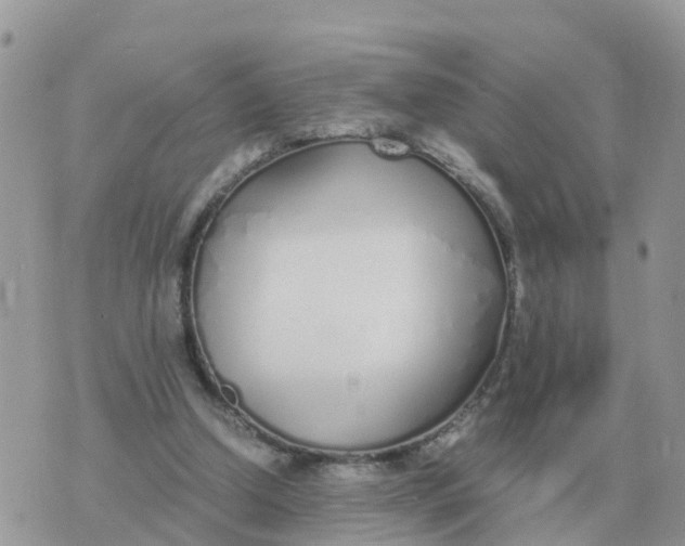 X0000070430250200606302133