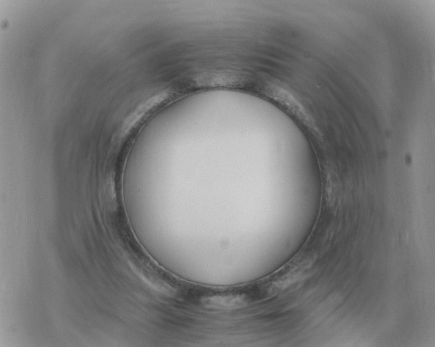 X0000070430251200606302133