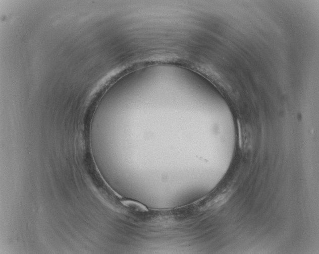 X0000070430252200606302133