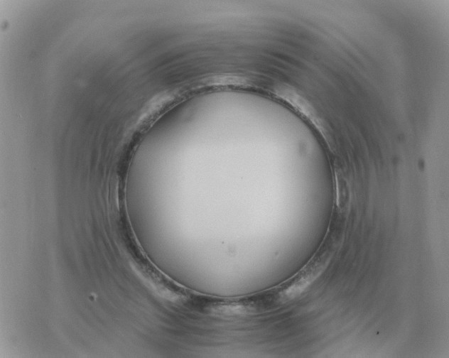 X0000070430253200606302133