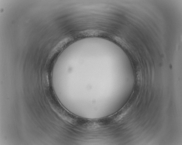 X0000070430254200606302133