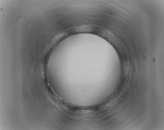 X0000070430255200606302133