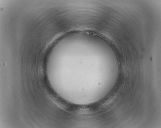 X0000070430256200606302133