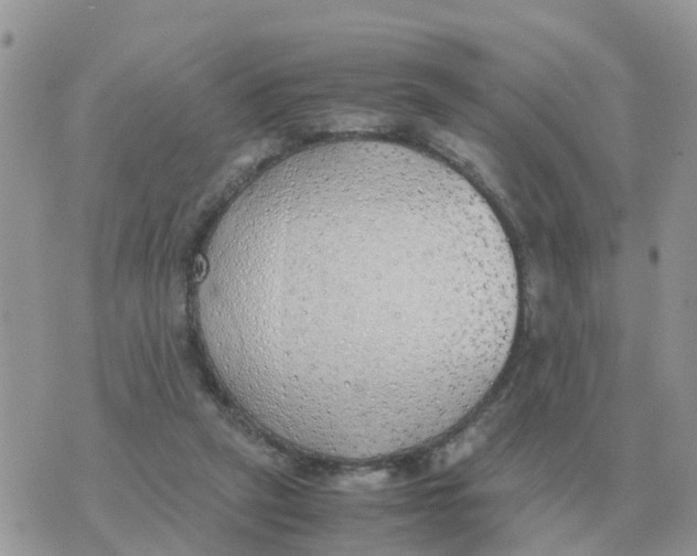 X0000070430257200606302133