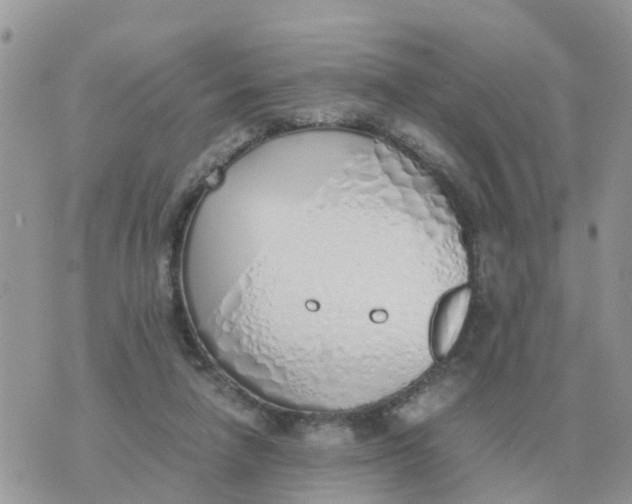 X0000070430258200606302133