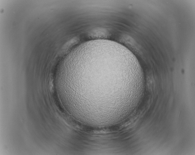 X0000070430259200606302133