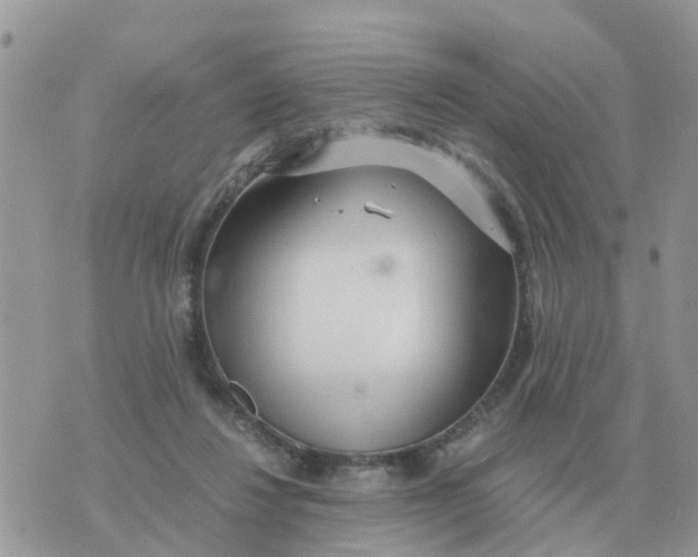 X0000070430260200606302133