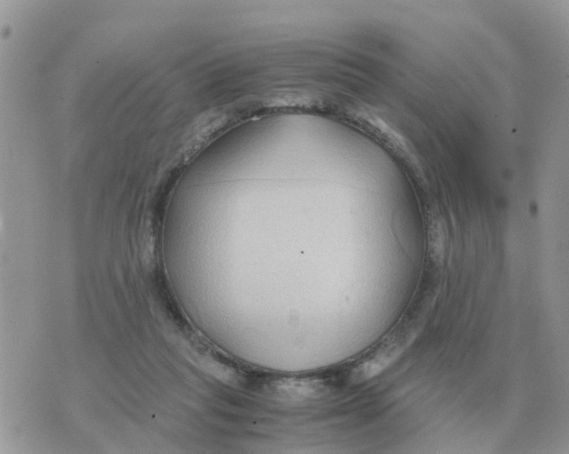 X0000070430261200606302133