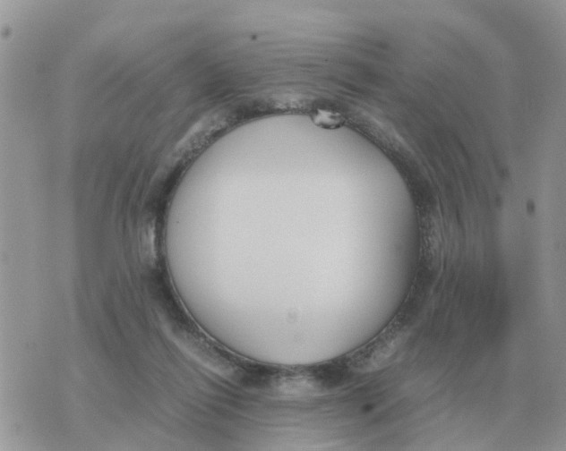 X0000070430262200606302133