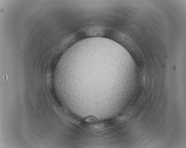 X0000070430263200606302133