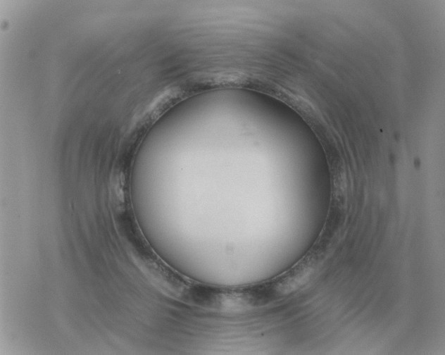 X0000070430264200606302133