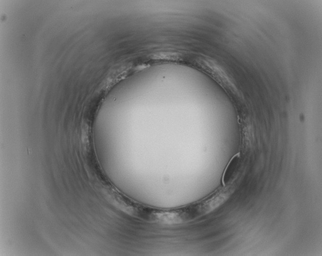 X0000070430265200606302134