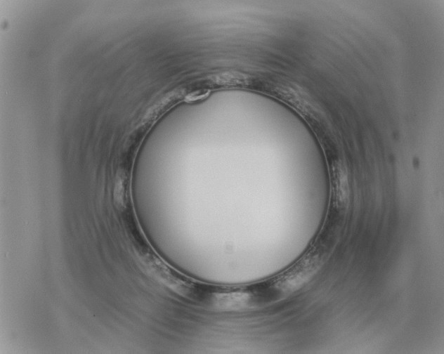 X0000070430266200606302134